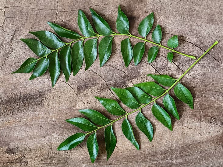 Curry Leaves: મીઠો લીમડો (કરીપત્તા) કેટલું અક્ષીર છે ..જાણો વિસ્તારથી