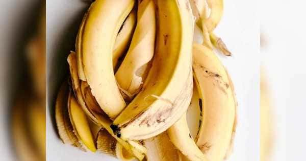 Banana Peel Benefits: કેળાની છાલને ફેંકી દેવાને બદલે પહેલા જાણો તેના ફાયદા, ન્યુટ્રિશનિસ્ટની સલાહ