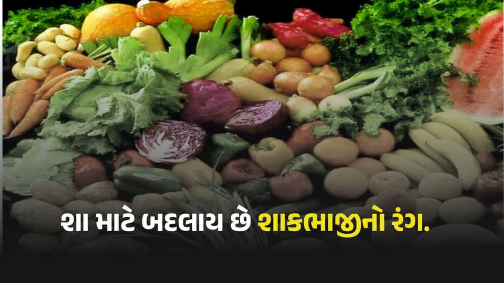 ગાજર લાલ અને મૂળા કેમ હોય છે સફેદ ?