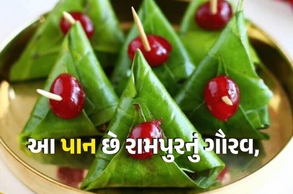 હોઠની લાલાશ, હોઠ પર સ્મિત, રામપુરનું ગૌરવ, આ પાન(Leaf) તેના નામની જેમ જ અદ્ભુત છે.