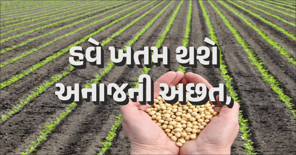  ખારી અને ગરમ જમીનમાં પણ પાક લેવાશે, નવી શોધે બતાવ્યો રસ્તો .