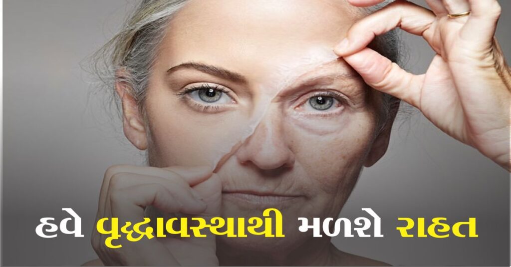 40 વર્ષની ઉંમર પછી ફિટ રહેવા માટે તમારા આહારમાં આ 5 ખોરાકનો સમાવેશ કરો...