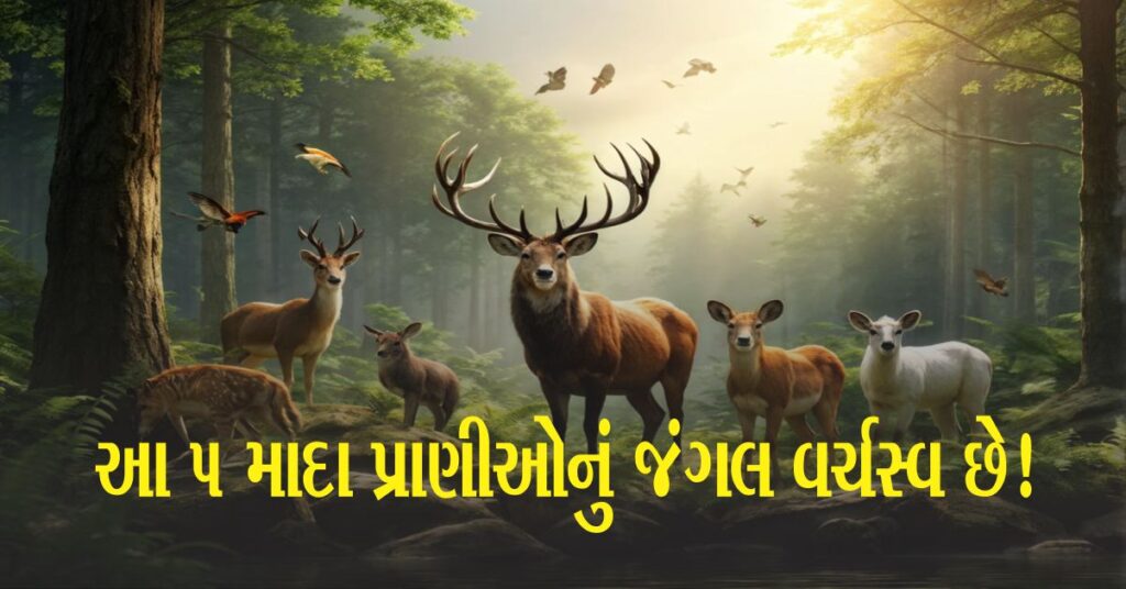 આ 5 માદા પ્રાણીઓ (Animals) પ્રભાવશાળી છે! તેમના એક સંકેત પર નર પ્રાણીઓ મૌન જાળવે છે