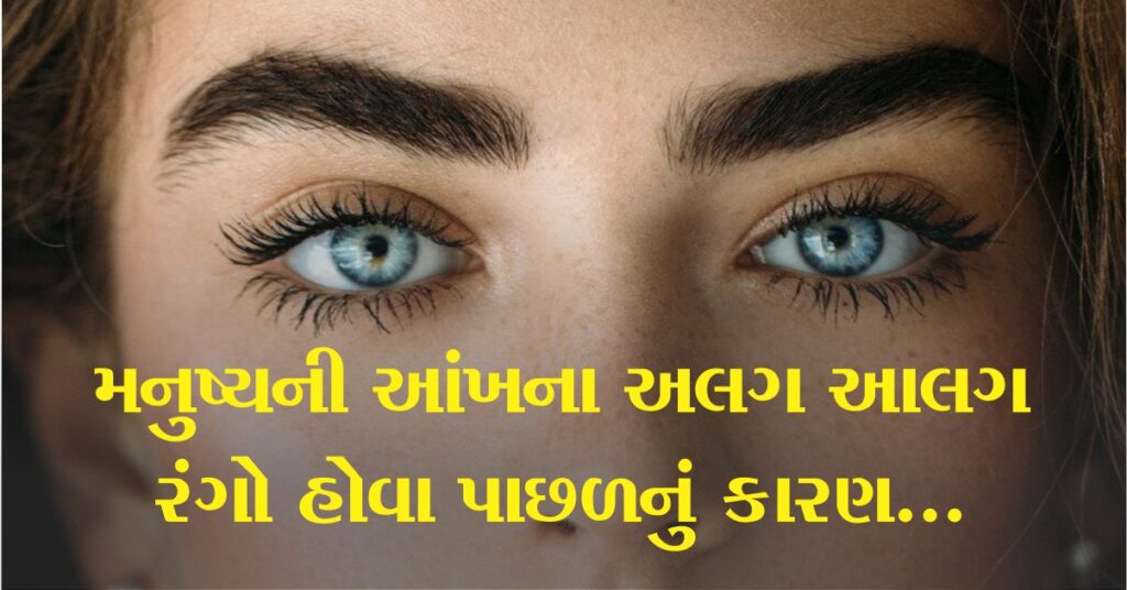 શું તમે ક્યારેય વિચાર્યું છે કે મનુષ્યની આંખ (Eye) નો રંગ વાદળી કે ભૂરો કેવી રીતે હોય છે?