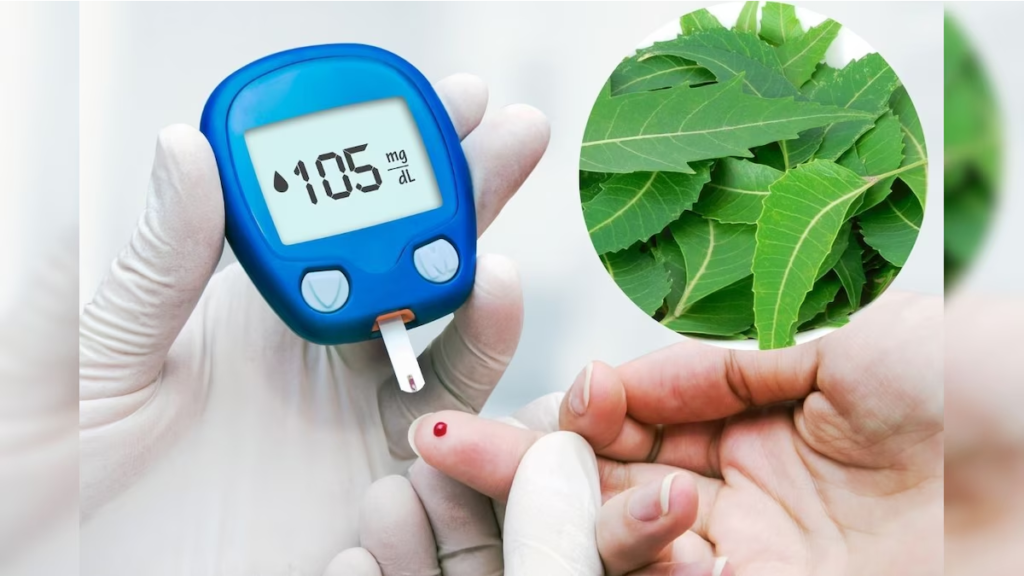 લીમડા (Neem) ના પાનને ડાયાબિટીસ માટે દવા માનો! સવારે ખાલી પેટે ચાવીને જોવો, થોડા દિવસોમાં ચમત્કાર થઇ જશે 1 લીમડા (Neem) ના પાનને ડાયાબિટીસ માટે દવા માનો! સવારે ખાલી પેટે ચાવીને જોવો, થોડા દિવસોમાં ચમત્કાર થઇ જશે