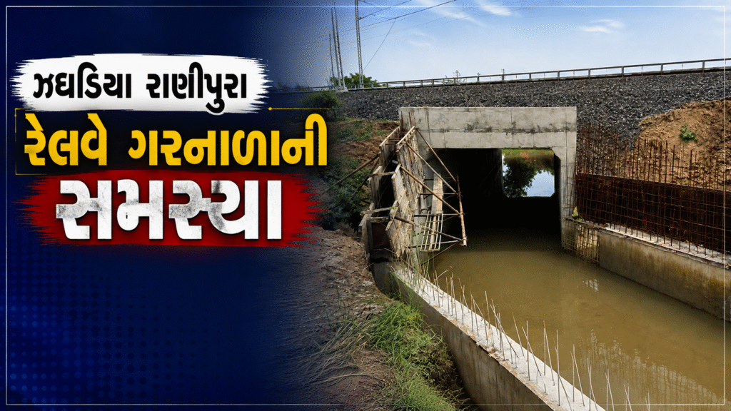 ભરૂચ (Bharuch) માં રાણીપુરા રેલવે ગરનાળાનો ગંભીર સવાલ: ખેડૂતોની હાલાકી વચ્ચે કન્ટેનર હબનો વિકાસ