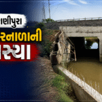 ભરૂચ (Bharuch) માં રાણીપુરા રેલવે ગરનાળાનો ગંભીર સવાલ: ખેડૂતોની હાલાકી વચ્ચે કન્ટેનર હબનો વિકાસ