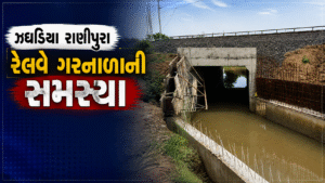 ભરૂચ (Bharuch) માં રાણીપુરા રેલવે ગરનાળાનો ગંભીર સવાલ: ખેડૂતોની હાલાકી વચ્ચે કન્ટેનર હબનો વિકાસ